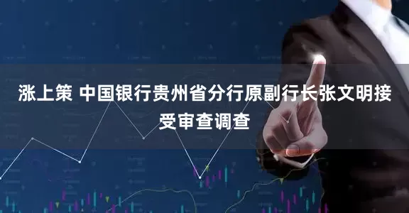 涨上策 中国银行贵州省分行原副行长张文明接受审查调查