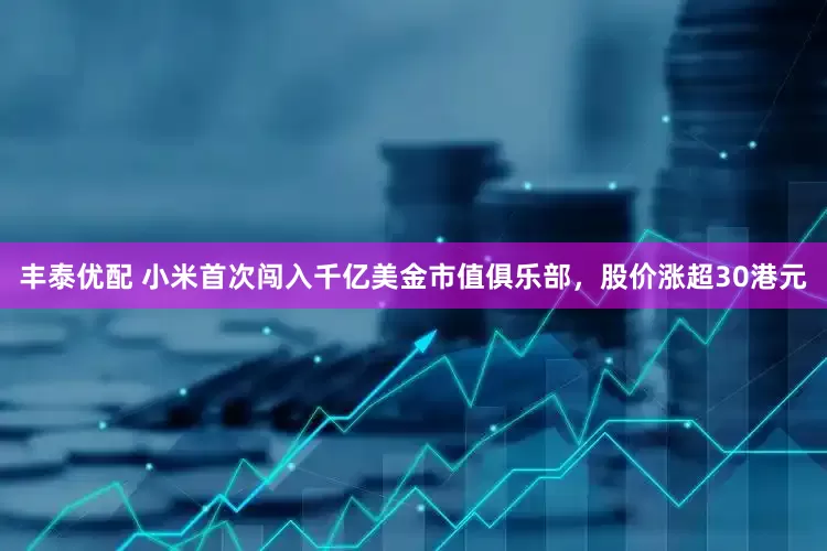 丰泰优配 小米首次闯入千亿美金市值俱乐部，股价涨超30港元