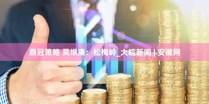 鼎冠策略 吴垠康：松梅岭_大皖新闻 | 安徽网
