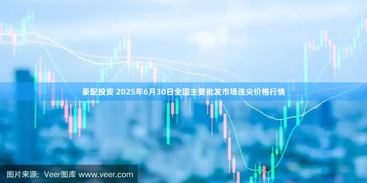 豪配投资 2025年6月30日全国主要批发市场连尖价格行情
