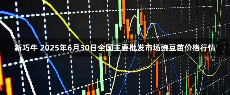新巧牛 2025年6月30日全国主要批发市场豌豆苗价格行情