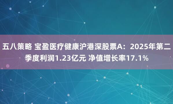 五八策略 宝盈医疗健康沪港深股票A：2025年第二季度利润1.23亿元 净值增长率17.1%
