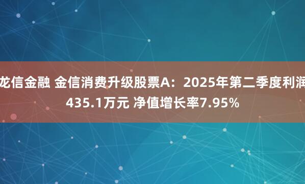 龙信金融 金信消费升级股票A：2025年第二季度利润435.1万元 净值增长率7.95%