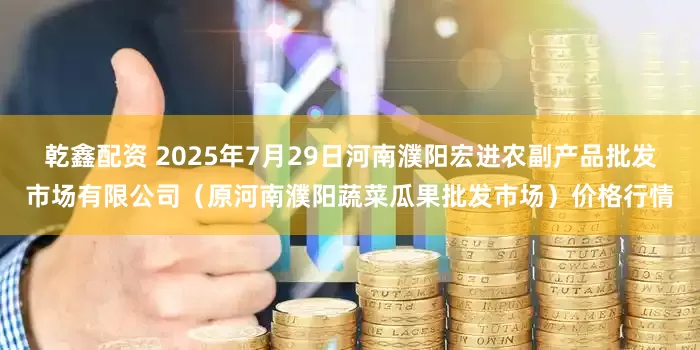 乾鑫配资 2025年7月29日河南濮阳宏进农副产品批发市场有限公司(原河南濮阳蔬菜瓜果批发市场)价格行情