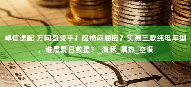 卓信速配 方向盘烫手？座椅闷屁股？实测三款纯电车型，谁是夏日救星？_海豚_隔热_空调
